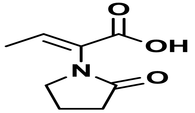 Levetiracetam Dehydro Acid